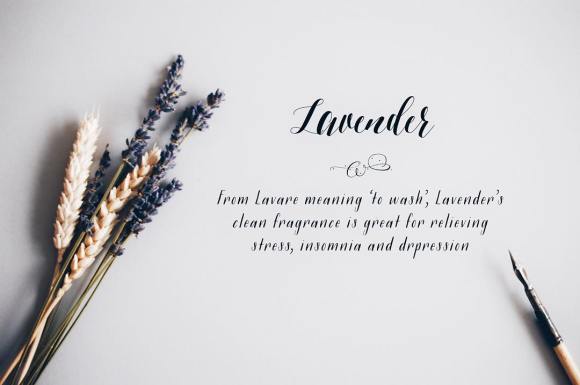 Natural skincare aromatherapy essential oils lavender